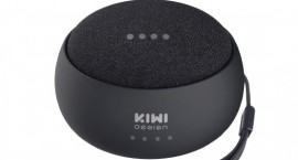 Batteria per Google Home Mini Kiwi Design