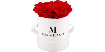 Infinity Roses di Mia Milano